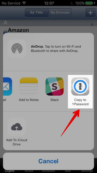 Select ‘Copy to 1Password’ in the share sheet