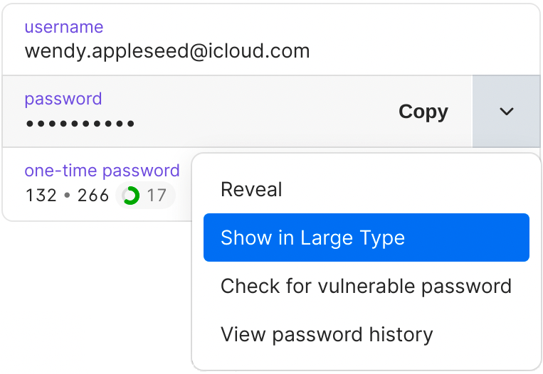 Select 'Show in Large Type' to enlarge passwords