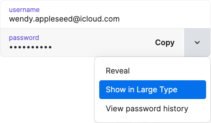 Select 'show in large type' to enlarge passwords