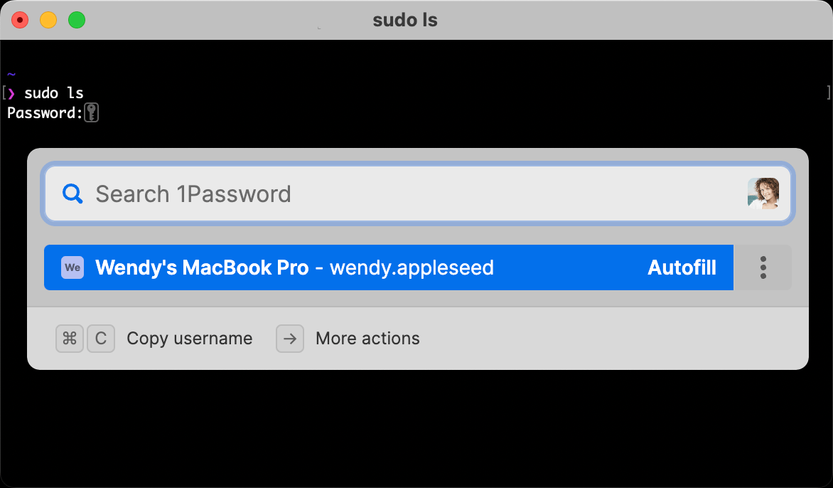 Automatisches Ausfüllen deines Mac-Anmeldepassworts im Terminal mit 1Password