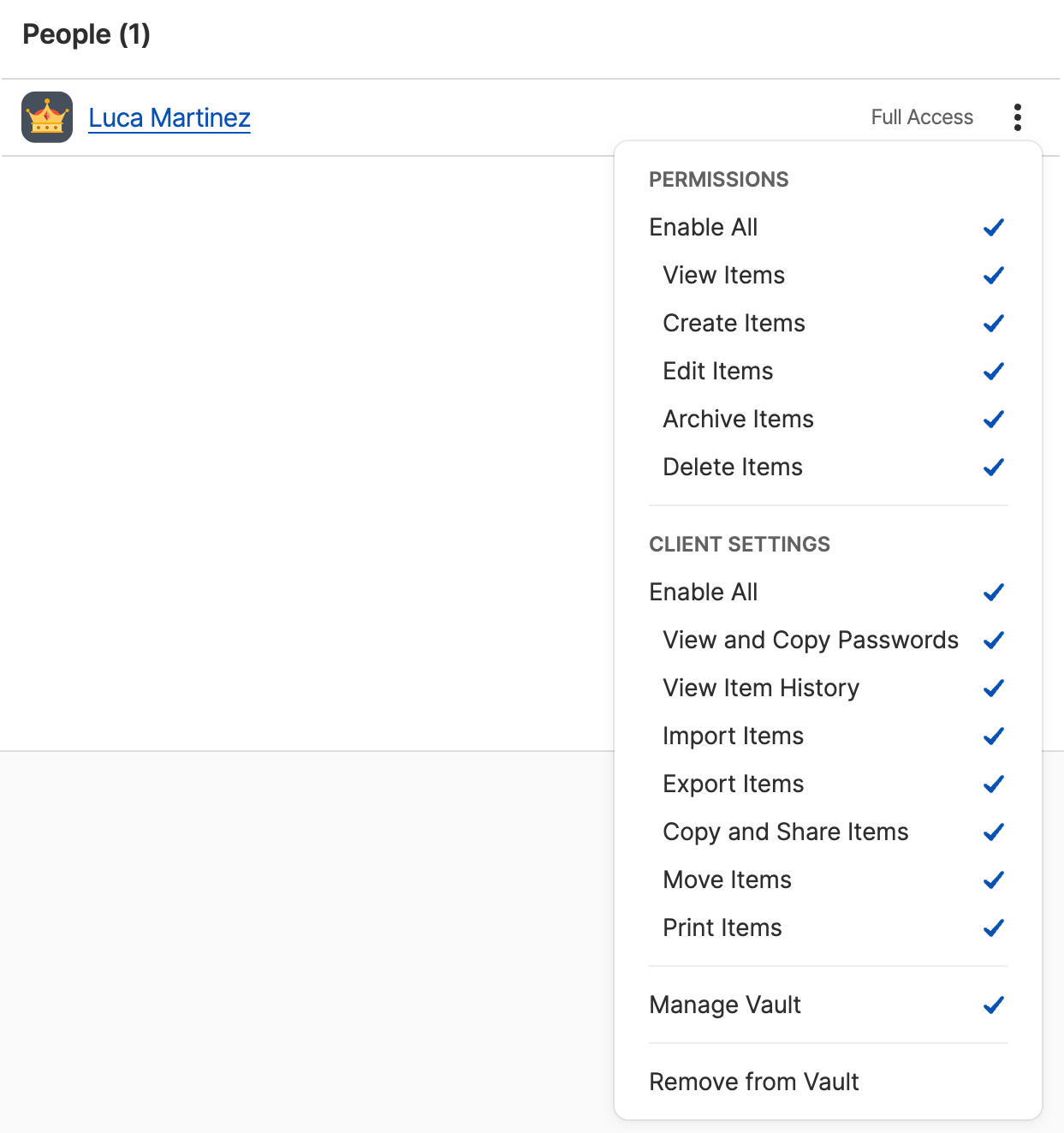 A list of vault permissions for a team member