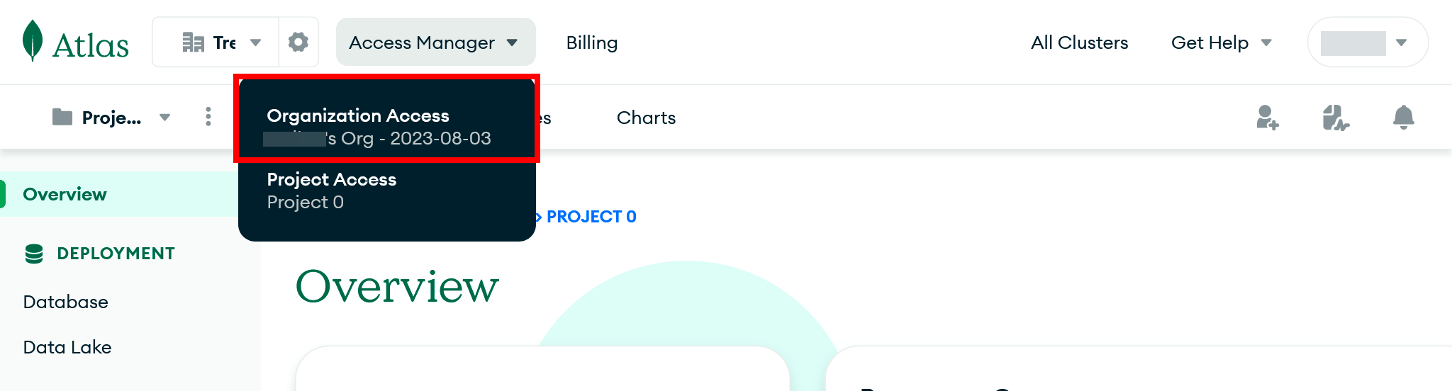 MongoDB Atlas organization selector with Organization Access highlighted