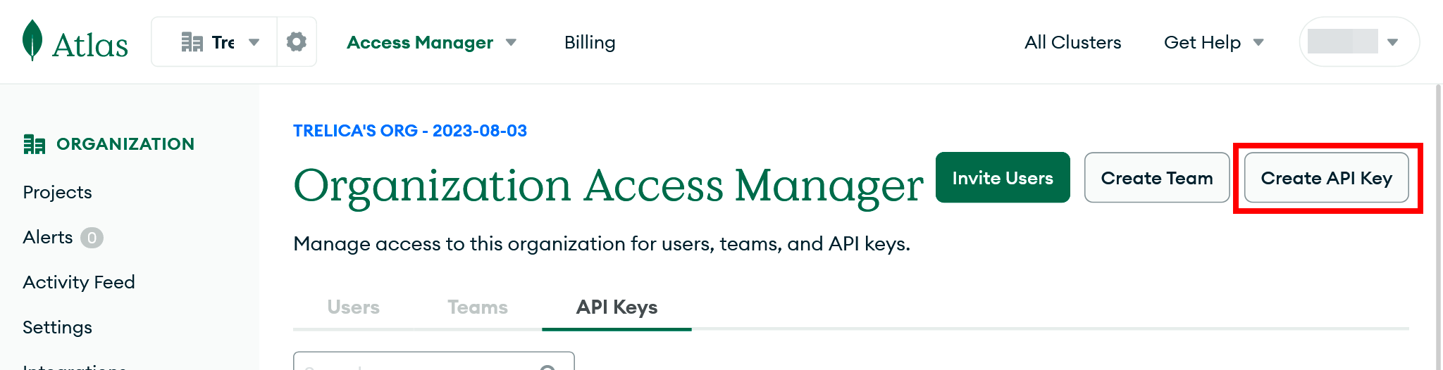 MongoDB Atlas Organization Access Manager page with the Create API Key button highlighted