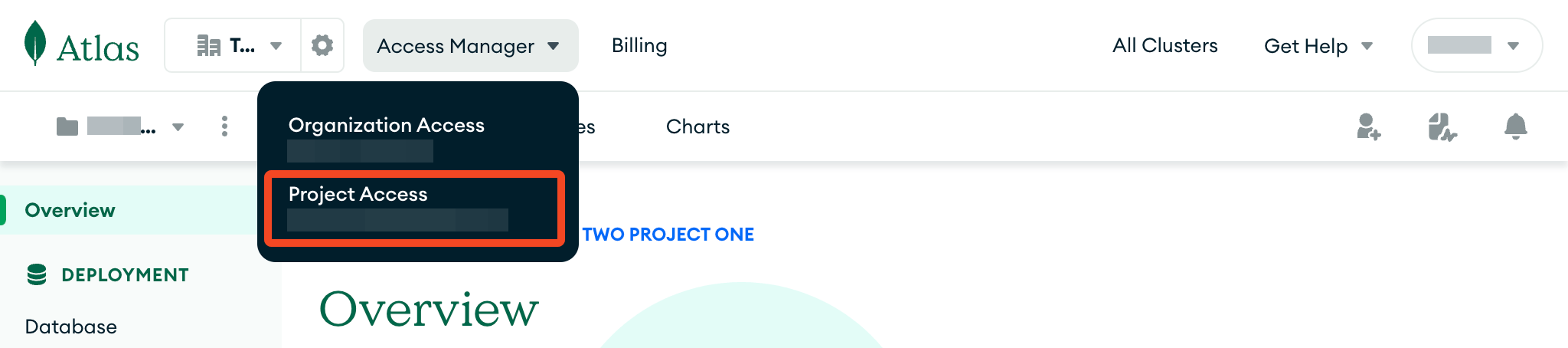 MongoDB Atlas organization selector with Project Access highlighted