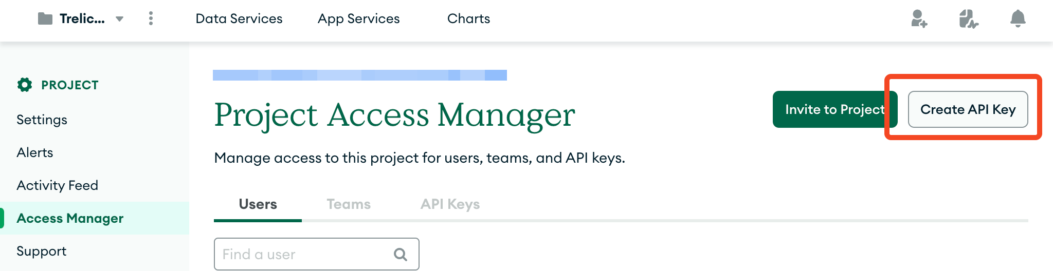 MongoDB Atlas Project Access Manager page with the Create API Key button highlighted