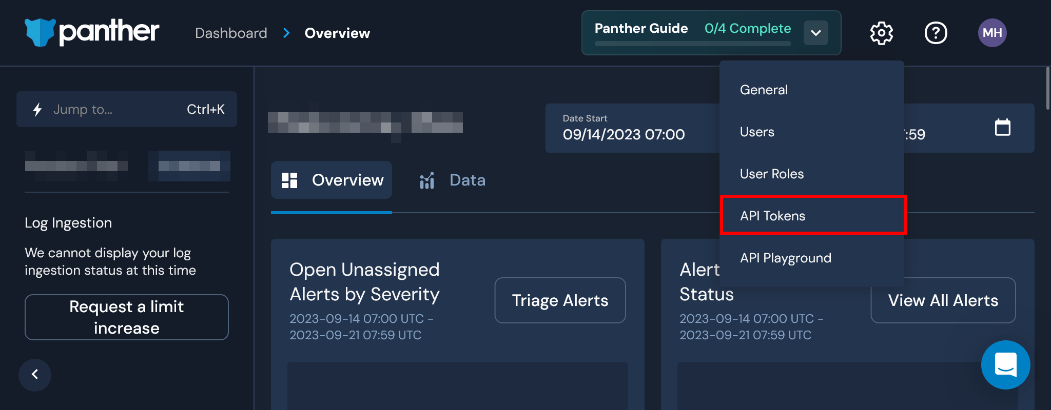 Panther settings menu with API Tokens selected