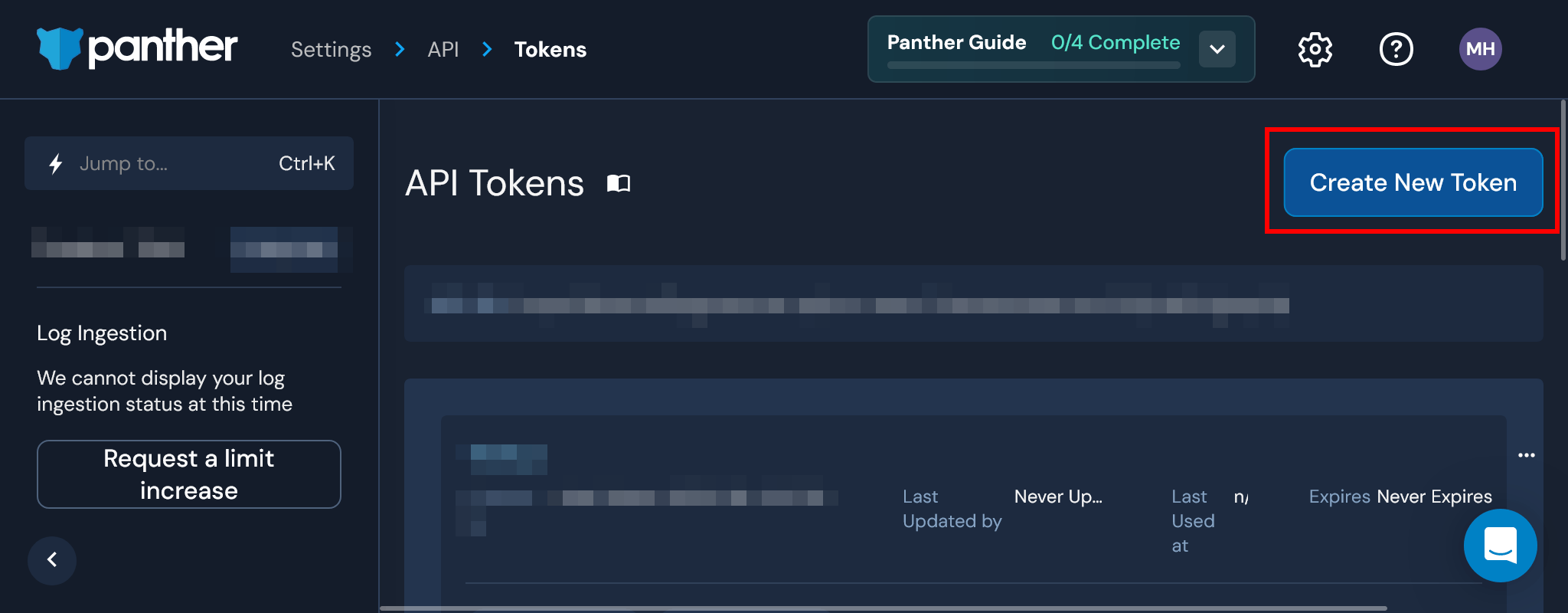 Panther API Tokens page with Create New Token highlighted
