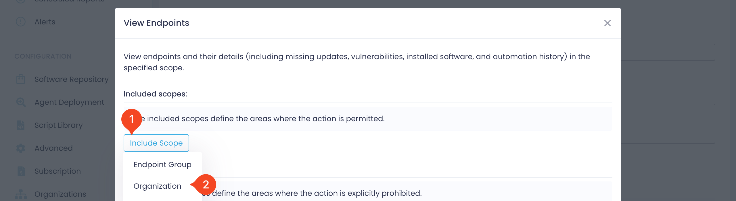 Action1 permission scope dialog with Organization selected
