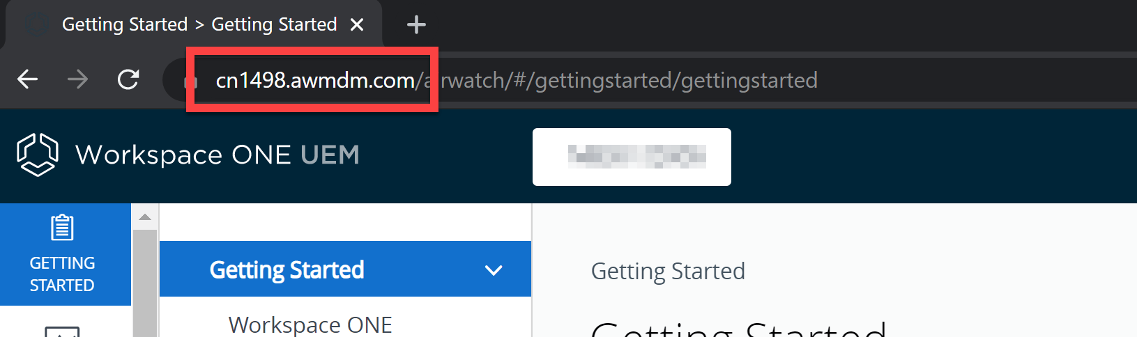Workspace ONE UEM REST API settings showing the instance URL