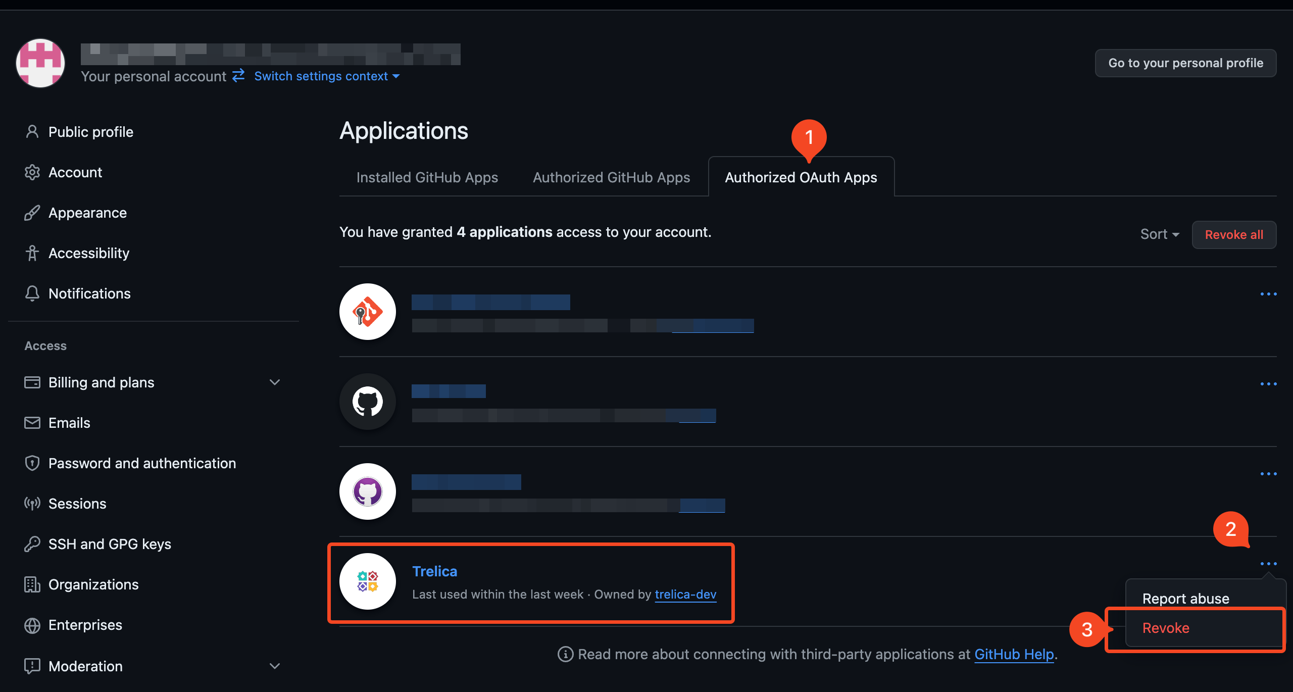 GitHub authorization page with organization access grants