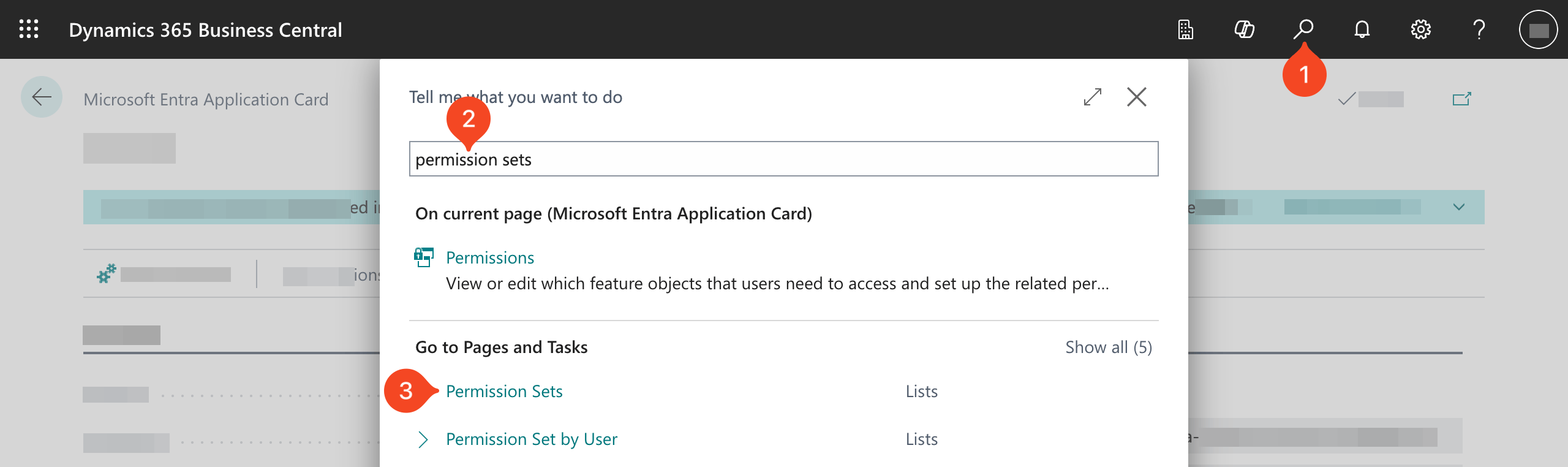 SaaS Manager Business Central connection dialog