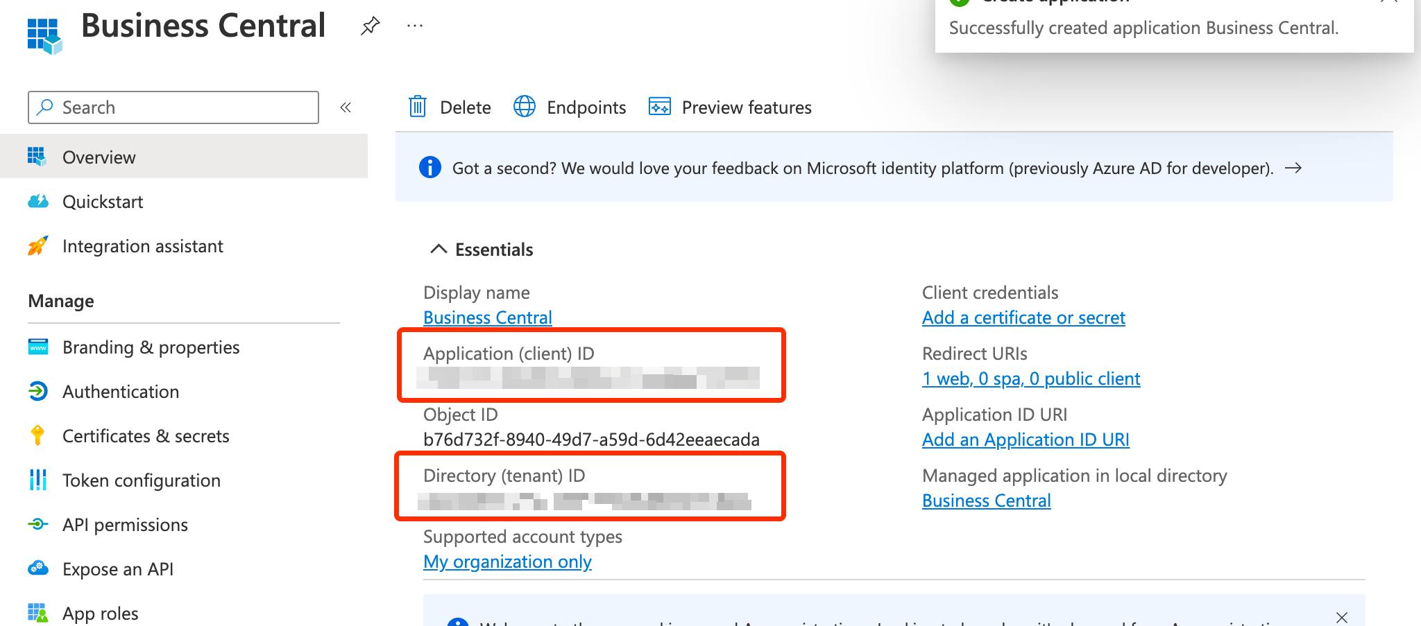 Azure app Overview page showing application client and directory tenant IDs